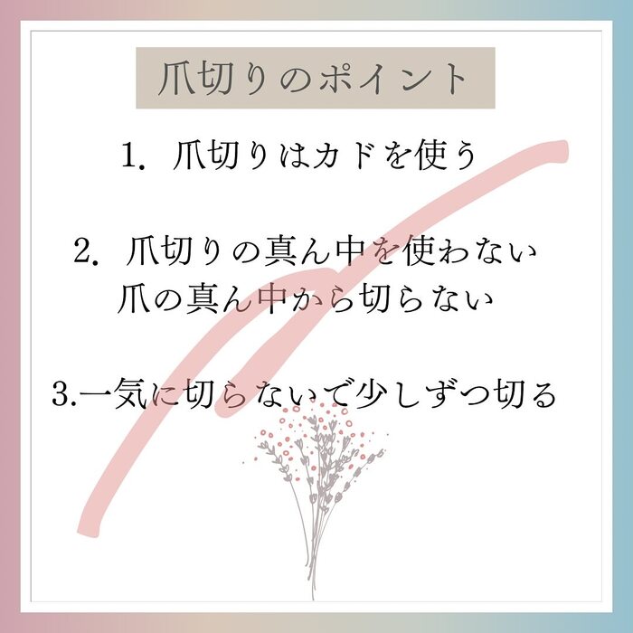 画像1072