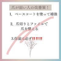 画像1094