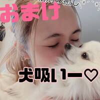 画像393