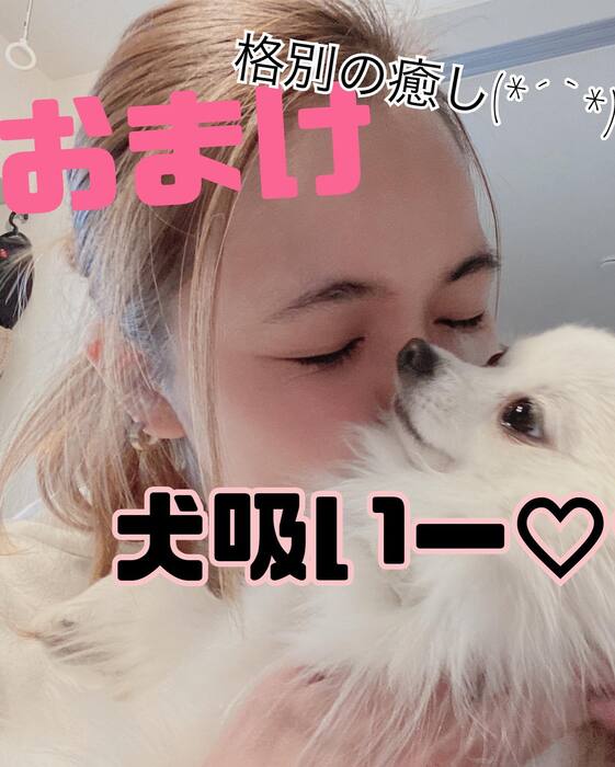 画像393