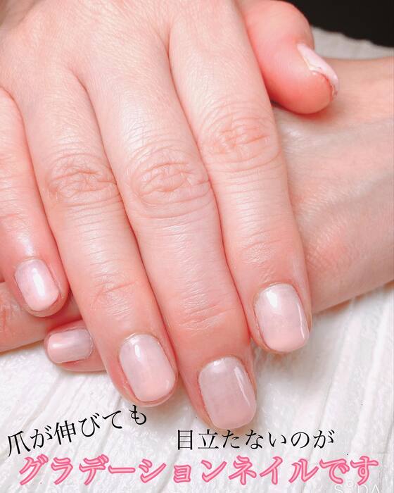 画像459