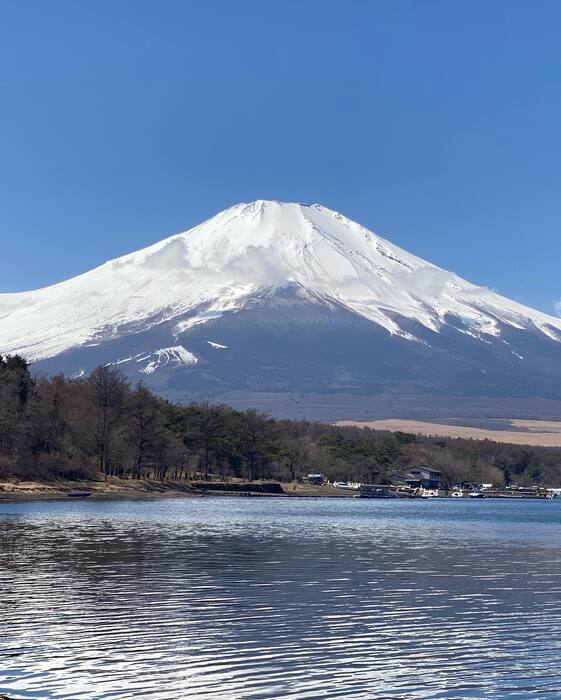 画像471