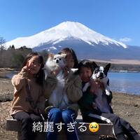 画像472