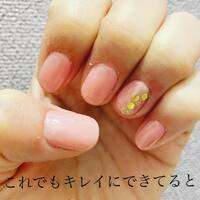 画像529