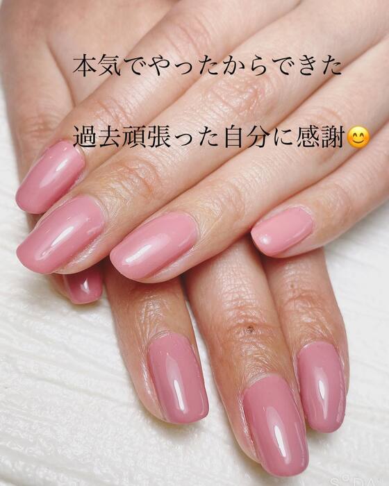 画像534