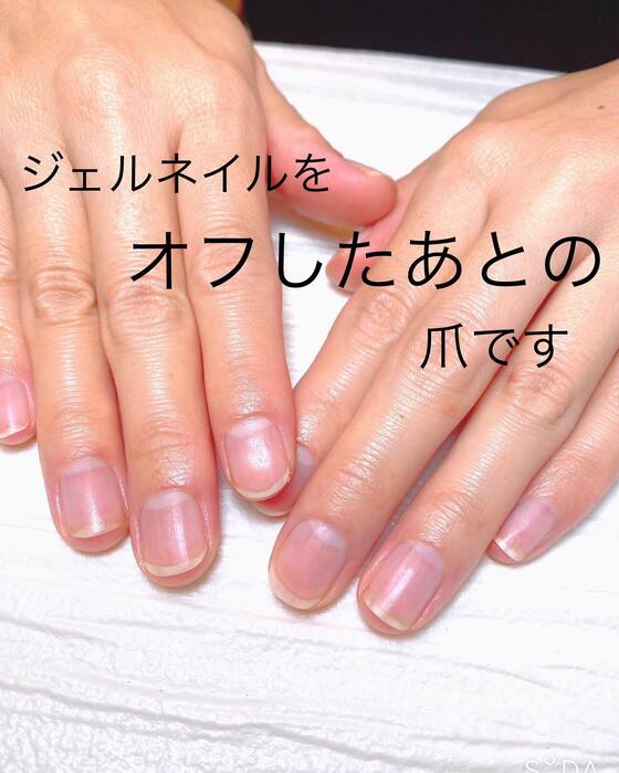 画像559