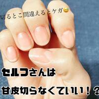 画像571
