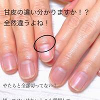 画像574
