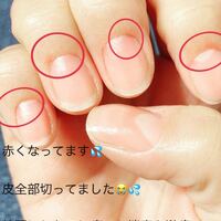 画像575