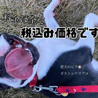 画像638