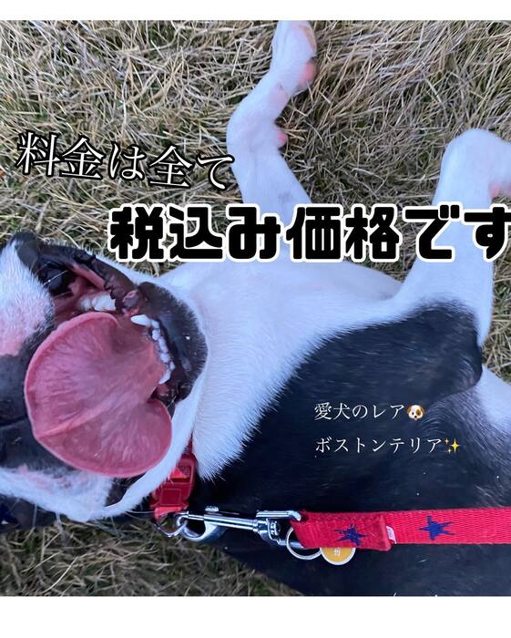 画像638