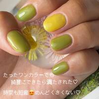 画像884