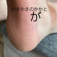 画像916